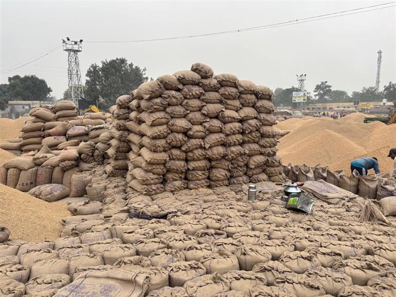 ਕੱਟੂ (ਬਰਨਾਲਾ) ’ਚ ਫੜੇ ਯੂ.ਪੀ ਦੇ ਘੱਟ ਭਾਅ ਦੇ ਝੋਨੇ ਦੀਆ ਤਾਰਾਂ ਤਪਾ ਦੇ ਇਕ ਕਾਰੋਬਾਰੀ ਨਾਲ ਜੁੜੀਆ